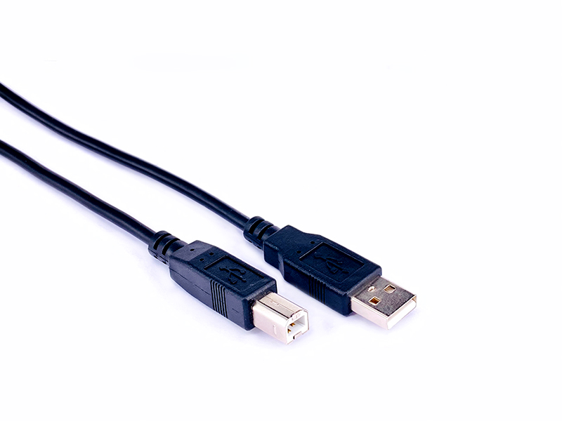 VALUE USB 2.0 Cable,   Type A-B